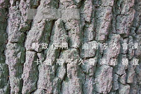 郵政信用卡逾期多久會凍結額度-郵政信用卡逾期多久會凍結額度呢