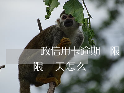 郵政信用卡逾期寬限幾天(郵政信用卡逾期寬限幾天怎么辦)