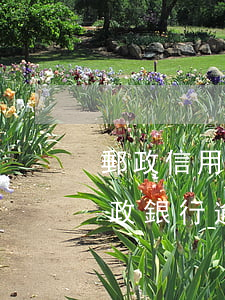郵政信用卡逾期平臺(tái)私自扣款(郵政銀行逾期扣款)