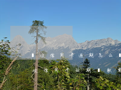 郵政信用卡逾期怎么協(xié)商還款(郵政信用卡延期還款需要申請(qǐng)嗎)