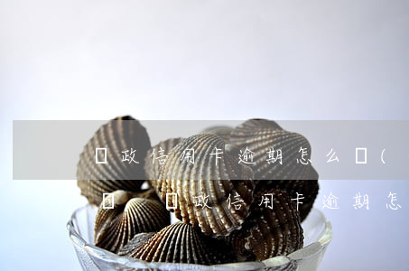 郵政信用卡逾期怎么協(xié)商還款電話-郵政信用卡逾期怎么協(xié)商還款電話客服