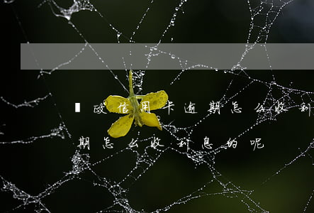 郵政信用卡逾期怎么收利息的(郵政信用卡逾期怎么收利息的呢)