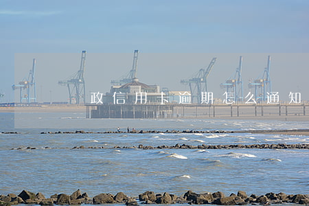 郵政信用卡逾期怎么通知