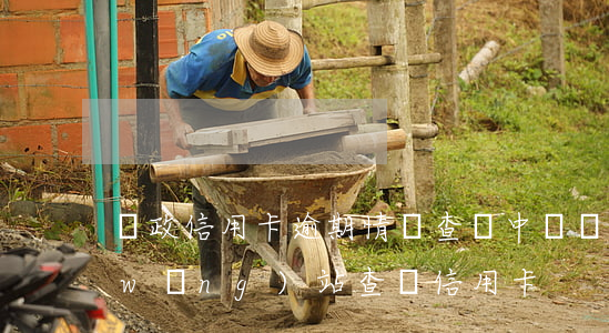 郵政信用卡逾期情況查詢(中國郵政官方網(wǎng)站查詢信用卡)