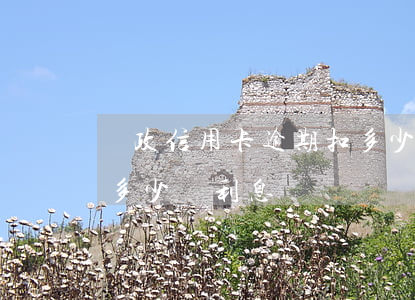 郵政信用卡逾期扣多少錢(郵政信用卡逾期扣多少錢利息)