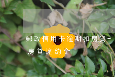 郵政信用卡逾期扣房貸-郵政信用卡逾期扣房貸違約金