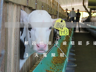 郵政信用卡逾期最多能幾天(郵政銀行信用卡3天寬限期)