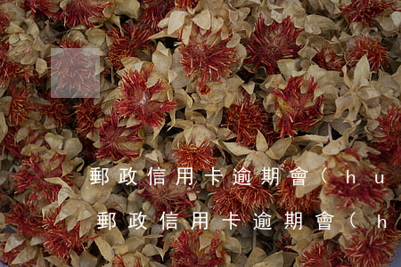 郵政信用卡逾期會(huì)上門催收嗎-郵政信用卡逾期會(huì)上門催收嗎