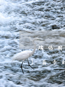 郵政信用卡逾期會(huì)扣儲(chǔ)蓄卡的錢嗎-郵政信用卡逾期會(huì)扣儲(chǔ)蓄卡的錢嗎起訴嗎