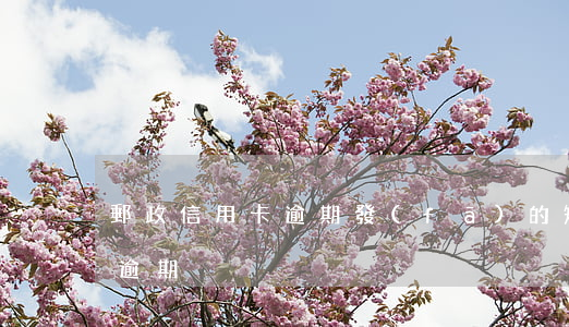 郵政信用卡逾期發(fā)的短信(郵政銀行逾期)