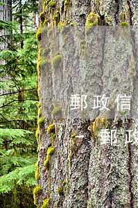 郵政信用卡逾期能繼續(xù)使用嗎上海-郵政信用卡逾期能繼續(xù)使用嗎上海銀行