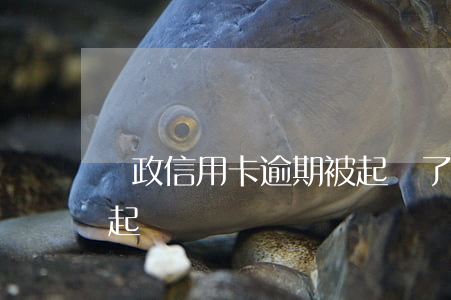 郵政信用卡逾期被起訴了(郵政貸款逾期多久起訴)