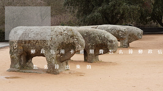 郵政信用卡逾期費怎么算(郵政信用卡逾期費怎么算出來的)