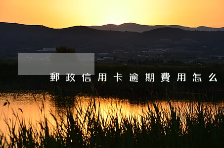郵政信用卡逾期費用怎么算(郵政卡逾期幾天)