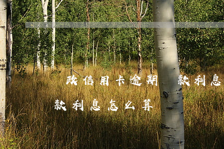 郵政信用卡逾期還款利息(郵政信用卡逾期還款利息怎么算)