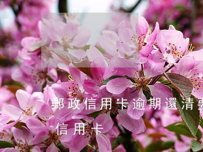 郵政信用卡逾期還清要求銷戶(郵政銀行注銷信用卡)