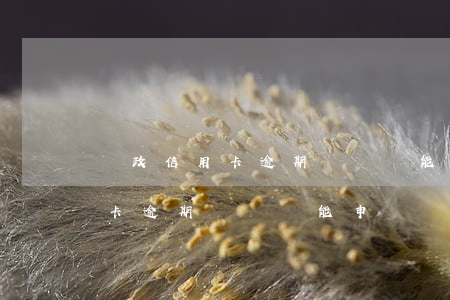 郵政信用卡逾期銷戶還能申請嗎-郵政信用卡逾期銷戶還能申請嗎怎么辦