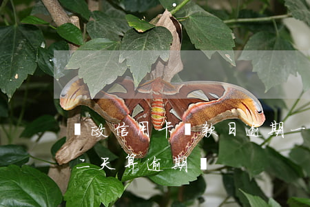 郵政信用卡還款日逾期一天6 郵政還款日第二天算逾期嗎
