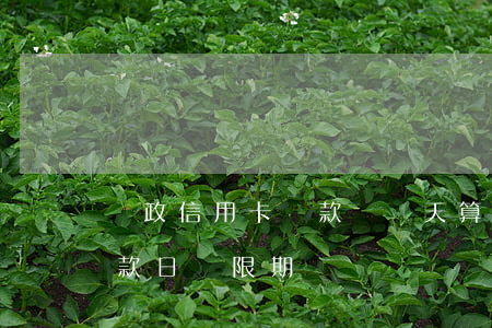 郵政信用卡還款遲兩天算逾期-郵政銀行還款日寬限期