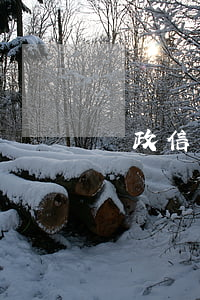 郵政信用卡青春卡利息(中國郵政青春卡額度)