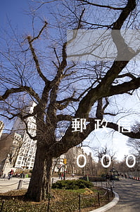 郵政信用卡額度6000逾期 郵政信用卡3000額度