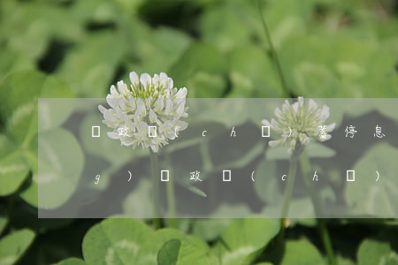 郵政儲(chǔ)蓄停息掛賬申請(qǐng)(郵政儲(chǔ)蓄停息掛賬申請(qǐng))