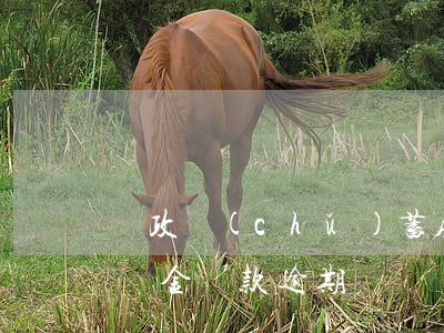 郵政儲(chǔ)蓄房貸逾期怎么辦(郵政公積金貸款逾期)