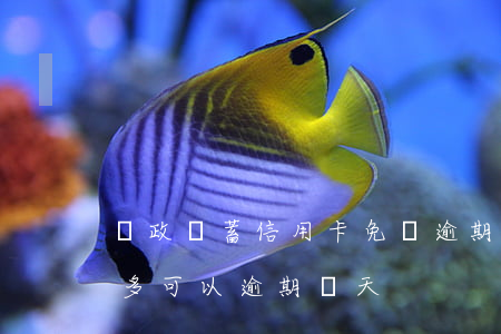 郵政儲蓄信用卡免費逾期(郵政儲蓄信用卡最多可以逾期幾天)