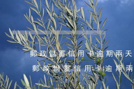 郵政儲蓄信用卡逾期兩天還款會影響征信-郵政儲蓄信用卡逾期兩天還款會影響征信嗎