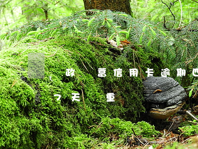 郵政儲蓄信用卡逾期四天(郵政信用卡逾期了7天嚴重嗎)