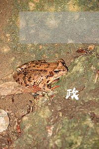 郵政儲蓄小額貸款(郵政儲蓄小額貸款五萬)
