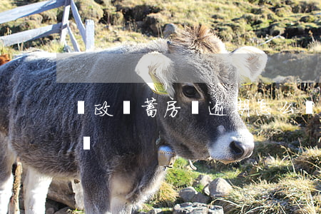 郵政儲蓄房貸逾期怎么還(郵政銀行怎么還房貸)
