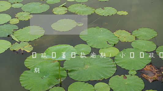郵政儲蓄貸款逾期1小時(郵政貸款逾期寬限期)
