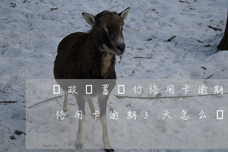 郵政儲蓄銀行信用卡逾期3天(郵政儲蓄銀行信用卡逾期3天怎么辦)