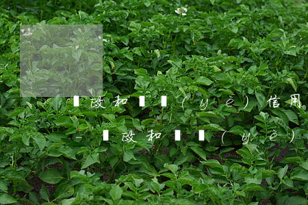 郵政和興業(yè)信用卡協(xié)商-郵政和興業(yè)信用卡協(xié)商
