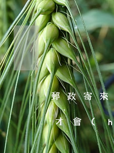 郵政寄來的信用卡逾期(郵政信用卡逾期幾天才會(huì)對(duì)信用造成影響)