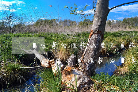 郵政寄的催收函要不要收(郵政寄來(lái)了信件是催收的嗎要不要管他)