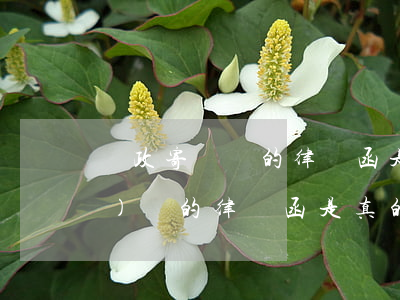 郵政寄過來的律師函是真的嗎(郵政發(fā)來的律師函是真的嗎)