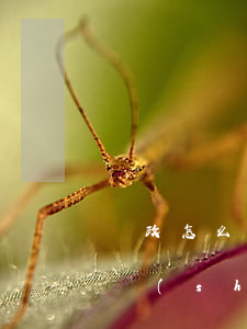 郵政怎么申請停息掛賬(郵政銀行怎么取消臨時(shí)掛失)