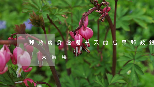 郵政房貸逾期一天的后果(郵政銀行貸款逾期一天后果)