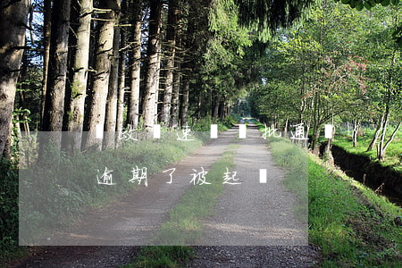 郵政極速貸審批通過(guò)（郵政極速貸逾期了被起訴）