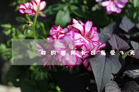 郵政的信用卡可享受3天寬限期，延期還款無憂