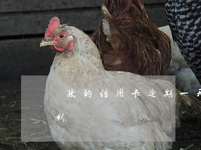 郵政的信用卡逾期一天(郵政逾期一天有什么影響)