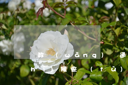 郵政網(wǎng)貸通還款后什么時(shí)候恢復(fù)-郵政網(wǎng)貸通還款多久可以再貸