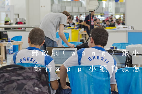 郵政網(wǎng)銀小額貸款怎么貸(郵政銀行app小額貸款怎么貸)