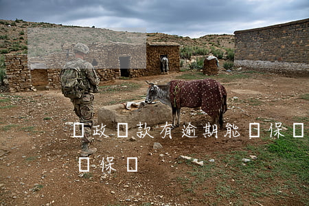 郵政貸款有逾期能擔保嗎(郵政貸款有逾期能擔保嗎)