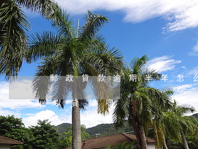 郵政貸款逾期半年怎么樣(郵政銀行有逾期可以貸款嗎)