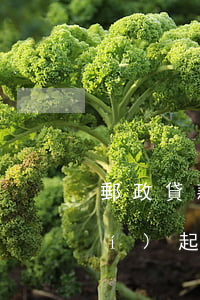 郵政貸款逾期多長(zhǎng)時(shí)起訴(郵政銀行貸款逾期多少天上征信)