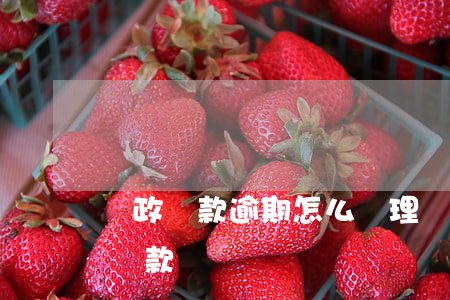 郵政貸款逾期怎么辦理(郵政銀行有逾期可以貸款嗎)