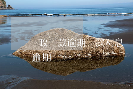 郵政貸款逾期還款利息(郵政貸款到期幾天算逾期)